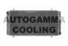 ROVER CDU3066 Radiator, engine cooling